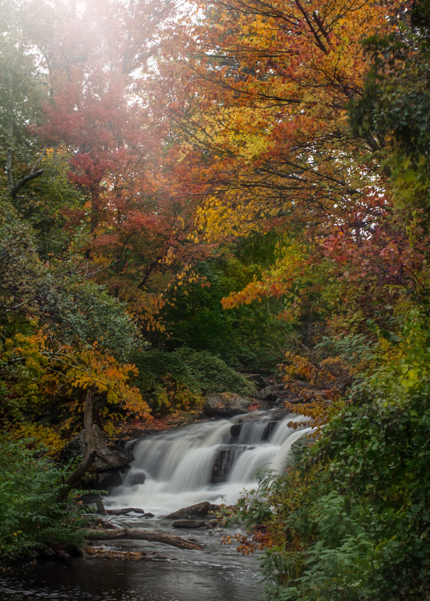 Private property Harry, no trespassing please, the sign said